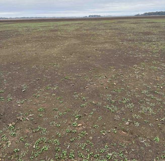 /international/us/n-144-highway-lot-4-390-lake-village-ar-110106704625/