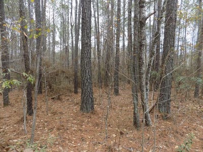 /international/us/mullins-road-hamilton-ga-110099673288/