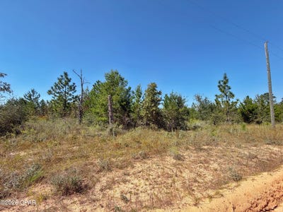/international/us/121-petty-road-marianna-fl-110120516842/
