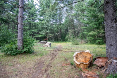 /international/us/n12503-county-road-g-necedah-wi-110101267613/?lang=en