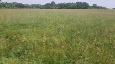 /international/us/000-c-tbd-oak-tree-drive-mountain-grove-mo-110108336482/