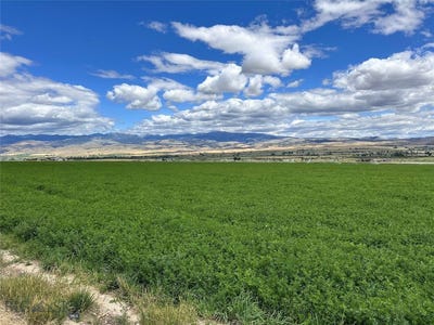 /international/us/spring-canyon-rd-lot-1a-alder-mt-110101051323/