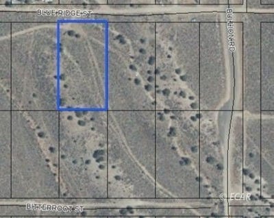 /international/us/066020004-blue-ridge-street-elko-nv-110103660273/