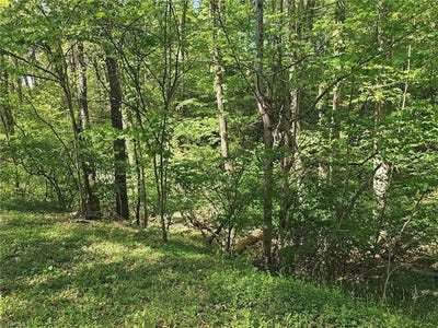 /international/us/rocky-lane-wilkesboro-nc-110107376061/