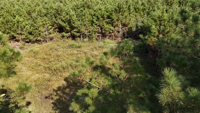 /international/us/county-road-3121-long-branch-tx-110108641336/