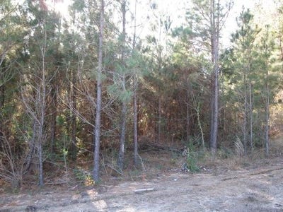 /international/us/parkview-estates-lot-3-ellisville-ms-110103548400/