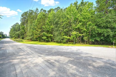 /international/us/0-joyland-lane-cottageville-sc-110099957163/
