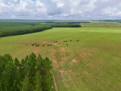 /international/us/0-county-road-259-clopton-al-110108848612/