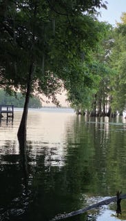 /international/us/10-hickory-landing-court-elloree-sc-110108258116/