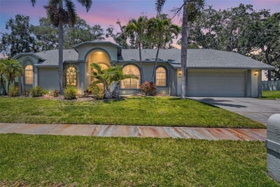 /international/us/2654-crystal-circle-dunedin-fl-110108093957/