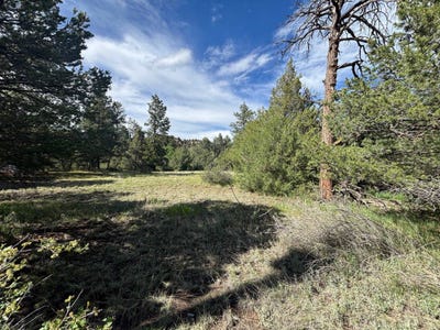 /international/us/29655-hwy-64-ute-park-nm-110097042552/