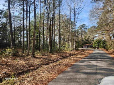 /international/us/franklin-st-loris-sc-110105213706/