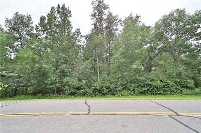/international/us/tbd-paper-birch-drive-baxter-mn-110101328932/?lang=zh-cn