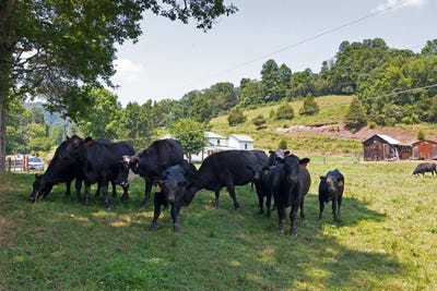 /international/us/2642-madam-creek-hinton-wv-110101404446/