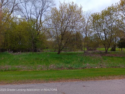 /international/us/w-riverview-drive-perry-mi-110084143361/