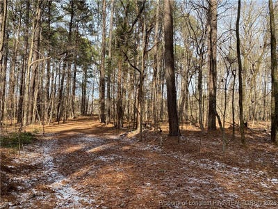 /international/us/breezeway-lane-carthage-nc-110105259078/