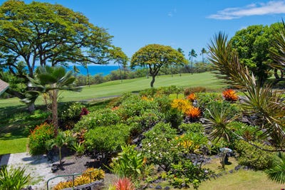 /international/us/78-7030-alii-dr-unit-405-kailua-kona-hi-110100418242/