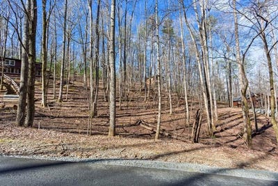 /international/us/sleepy-hollow-road-lot-m-54-ellijay-ga-110109181190/