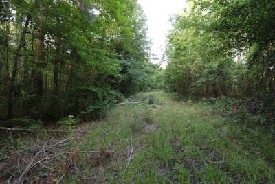 /international/us/0-kings-mill-road-tract-b-wrens-ga-110100304585/?lang=es