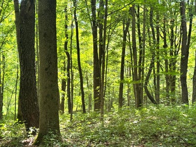 /international/us/1-5-wart-rd-orwell-ny-110102946391/