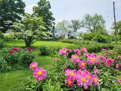 /international/us/226-hines-road-enfield-ny-110101194815/