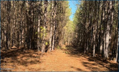 /international/us/county-road-2257-ethel-ms-110105841282/