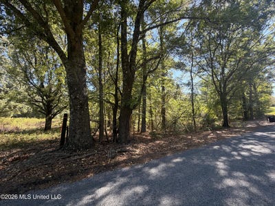 /international/us/brownlee-road-senatobia-ms-110120449354/