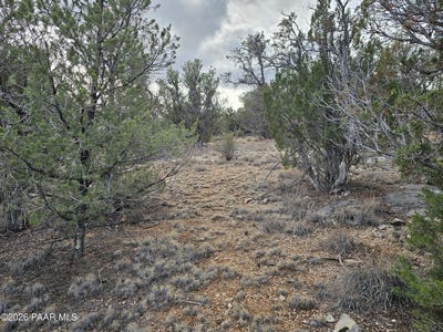 /international/us/55644-n-potrero-parkway-seligman-az-110120114748/
