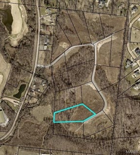 /international/us/12-county-road-205-cape-girardeau-mo-110098560556/