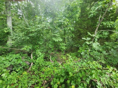 /international/us/lakeview-trail-holladay-tn-110096273090/