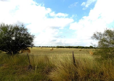 /international/us/1175-moses-rd-quemado-tx-110095577663/