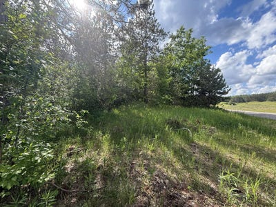 /international/us/v-l-bear-paw-trail-vanderbilt-mi-110108717552/