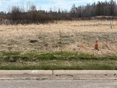 /international/us/lot-8-irvine-avenue-nw-bemidji-mn-110106058101/