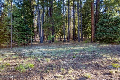 /international/us/10-n-1337-greer-az-110100949913/