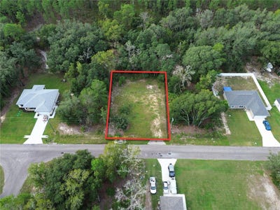 /international/us/106-guava-pass-ocklawaha-fl-110110381425/