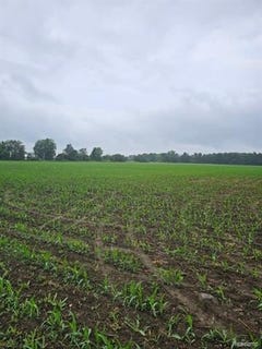 /international/us/parcel-c-newark-road-attica-mi-110101368397/