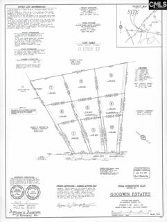 /international/us/217-mimosa-drive-gaston-sc-110110422721/
