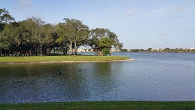 /international/us/2361-nw-33rd-st-oakland-park-fl-110120515878/