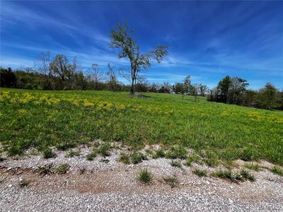 /international/us/1009-legacy-lane-perryville-mo-110109005297/