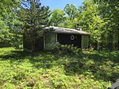 /international/us/294-w-ingerman-drive-baldwin-mi-110108947420/