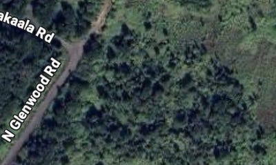 /international/us/glenwood-rd-off-of-mountain-view-hi-110106716705/