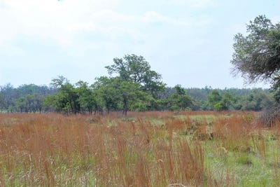 /international/us/131-lipan-loop-lot-16-harper-tx-110096633869/