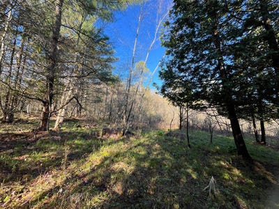 /international/us/00-lafaver-rd-hermon-ny-110105088878/