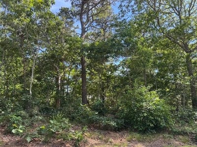 /international/us/35-sterling-road-harwich-ma-110100534682/