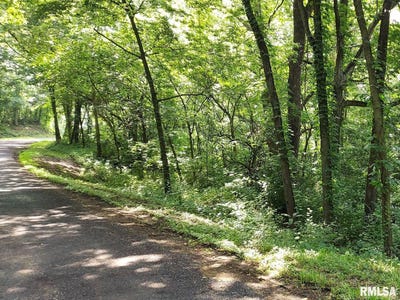 /international/us/0-w-bristol-hollow-road-dunlap-il-110101292490/?lang=it