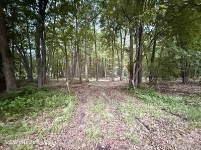 /international/us/seymour-road-burt-mi-110108857028/