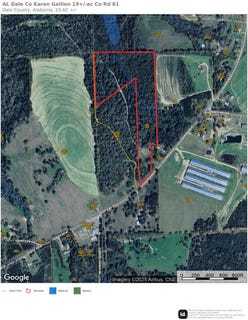 /international/us/00-co-rd-61-midland-city-al-110101151810/