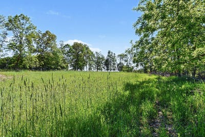 /international/us/e-charles-road-ionia-mi-110108573554/
