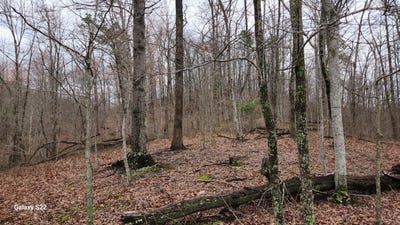 /international/us/3504-east-fork-road-means-ky-110088956421/