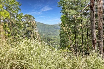 /international/us/376-eagles-blairsville-ga-110108449867/